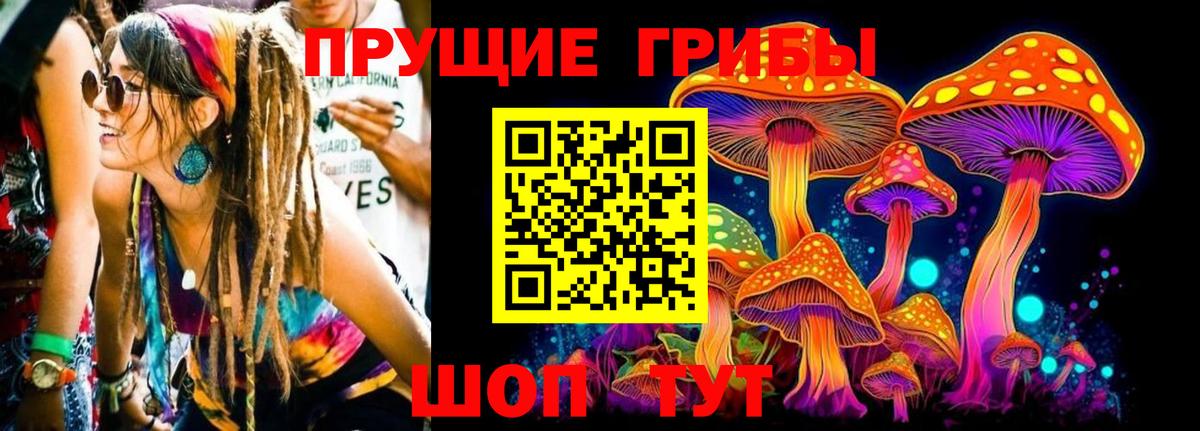 Псилоцибиновые грибы прущие грибы Мыски